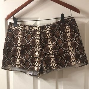 BCBGMaxAzria python shorts